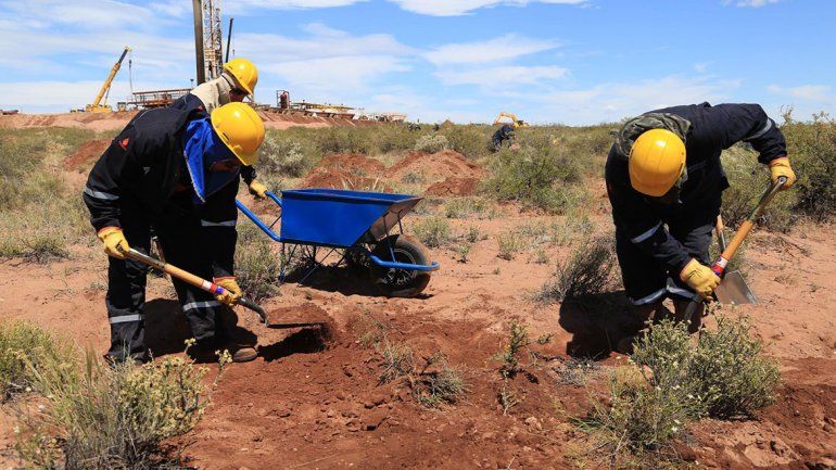 Bandurria luego del derrame