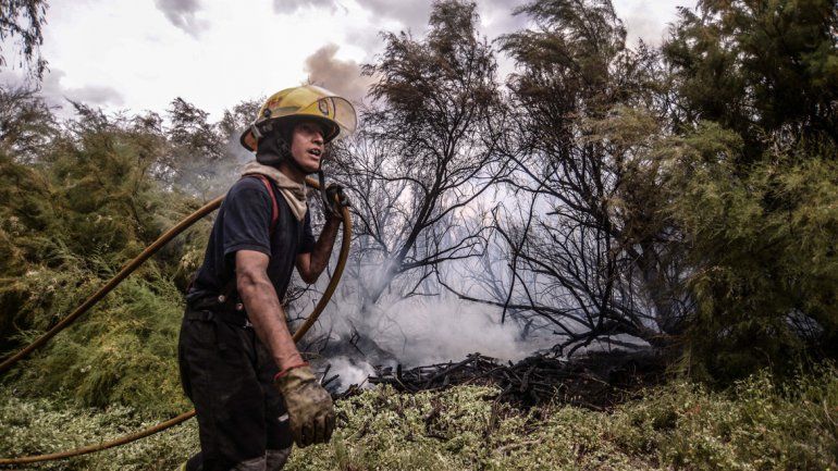 Un incendio de pastizales consumió tres chacras en Centenario