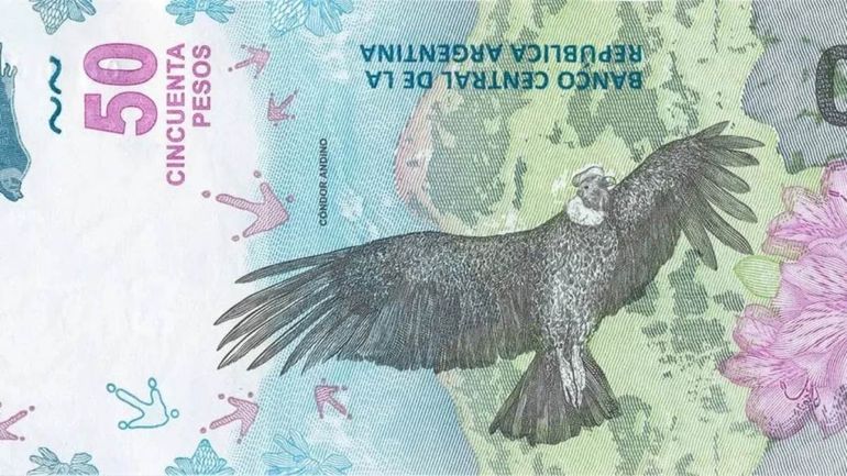 Coleccionistas compran billetes de $50 a $2 millones: ¿cuáles son y dónde venderlo?