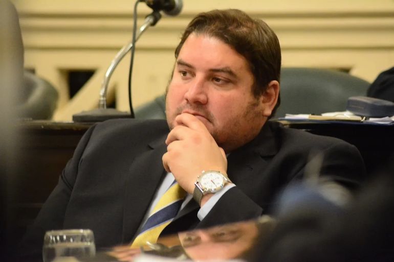 El senador Diego Pellegrini. El senador Diego Pellegrini.