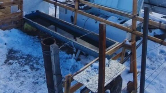 Invento argentino para combatir la ola de frío: crearon un bebedero que evita que se congele el agua