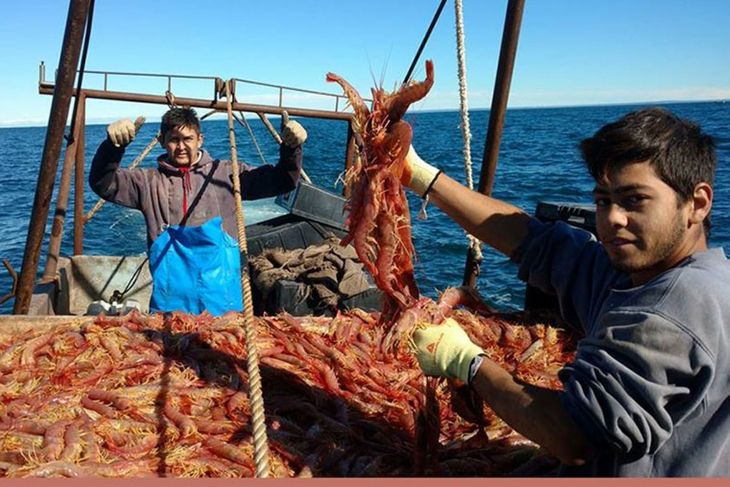 Entre presiones políticas, falta de controles y riesgos en el mar, la provincia avanza para poner límites a la informalidad. Entre presiones políticas, falta de controles y riesgos en el mar, la provincia avanza para poner límites a la informalidad.