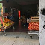 Grave ataque en una verdulería: cuatro mujeres la golpearon, rociaron con alcohol y le cortaron el pelo frente a su hijo | LM Neuquen Grave ataque en una verdulería: cuatro mujeres la golpearon, rociaron con alcohol y le cortaron el pelo frente a su hijo