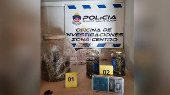 allanamiento- invernadero- cannabis sativa- armas.jpg