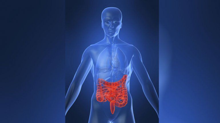 Enfermedad de Crohn, un mal del que se sabe poco