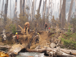 El trabajo en equipo para trasladar equipamiento. Foto: Combatiente Luciano Lobos (Base de Servicio Lago Puelo). El trabajo en equipo para trasladar equipamiento. Foto: Combatiente Luciano Lobos (Base de Servicio Lago Puelo).