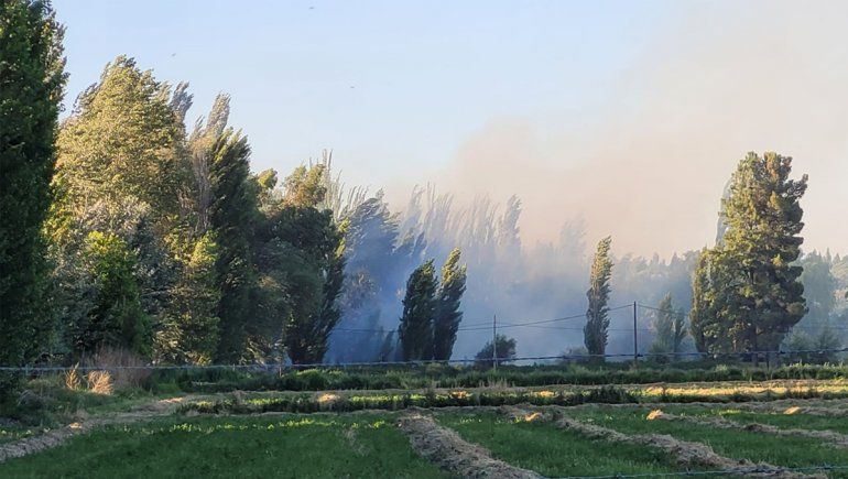 Ráfagas de 75 km/h complicaron un incendio intencional en zona de chacras