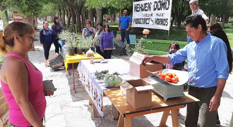 Una gran apuesta para producir en el Paraje Los Hornos