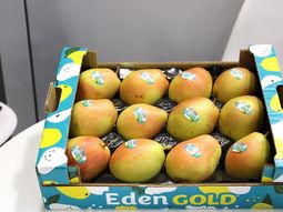 Buenas expectativas con la sealida de Eden Gold al mercado. Buenas expectativas con la sealida de Eden Gold al mercado.