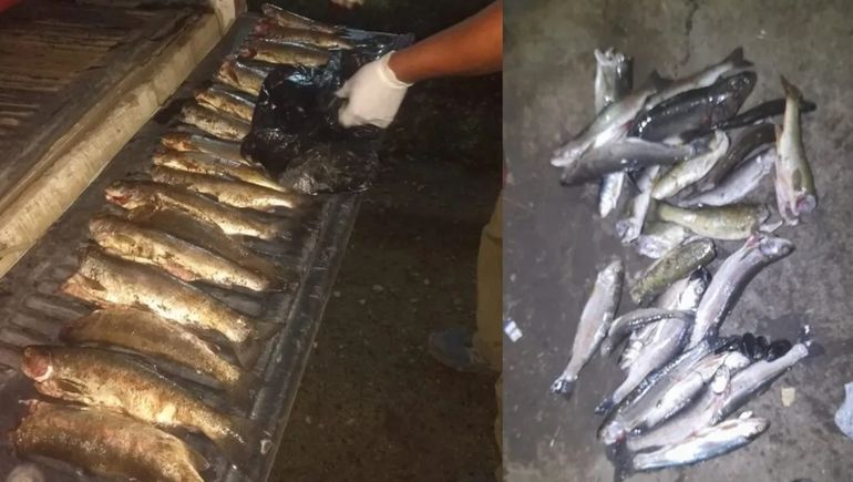 Demorados y con causa penal: pescaban sin permiso y tenían armas sin declarar