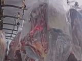 Comenzó a llegar la carne con hueso del norte de la berrera. ¿Cumple con los requisiitos de la resolución del SENASA?