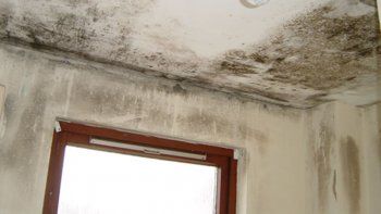 Ordenan que arregle su departamento para evitar que se inunden los vecinos
