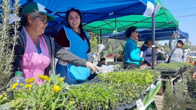 Cómo las mujeres de la huerta de Cuenca XV le cambiaron el espíritu al barrio
