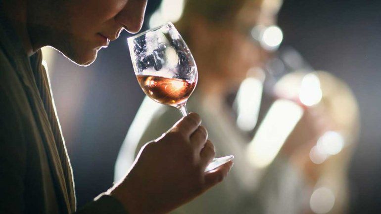Odorama y la magia de los aromas: la evocación en el vino