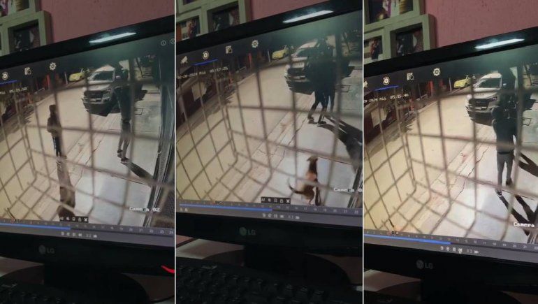 Video: se las ingeniaron para hacer una escalera humana y robar en un edificio de Centenario