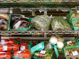 El conflicto en Oriente Medio y la volatilidad global ya encarecen la producción de frutas y verduras en España. El conflicto en Oriente Medio y la volatilidad global ya encarecen la producción de frutas y verduras en España.