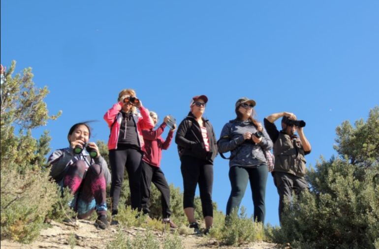 En la reserva, los visitantes no pueden acercarse a menos de 500 metros de los lobos marinos: los avistajes son desde 150 metros de altura. En la reserva, los visitantes no pueden acercarse a menos de 500 metros de los lobos marinos: los avistajes son desde 150 metros de altura.