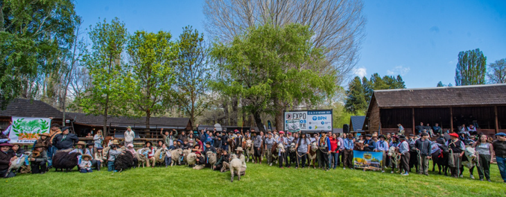El Concurso Tromen tuvo su primera edición en el año 2024, concebido inicialmente como una experiencia dirigida a participantes individuales. Foto: SRN El Concurso Tromen tuvo su primera edición en el año 2024, concebido inicialmente como una experiencia dirigida a participantes individuales. Foto: SRN