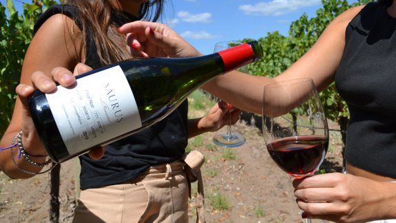 La historia de película del Pinot Noir