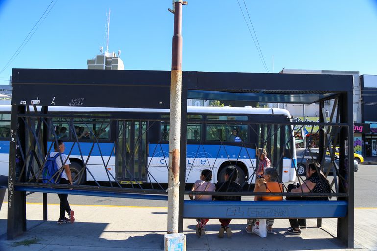 Neuquén recibió varios millones en subsidios para los colectivos. Neuquén recibió varios millones en subsidios para los colectivos.