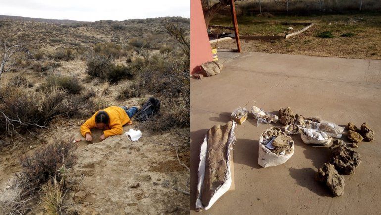 Encontraron nuevos fósiles de dinosaurios cerca de Senillosa