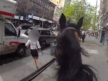 Según la Policía de Nueva York, la sospechosa le arrebató un bolso a una mujer mayor