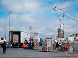 Las exportaciones batieron un récord en 2024.