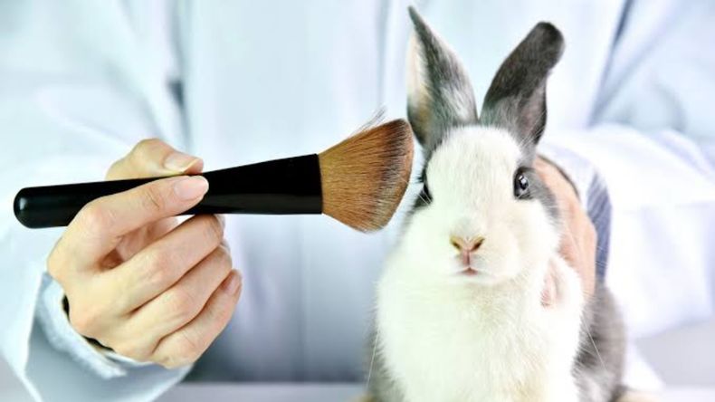 Una diputada neuquina quiere ponerle fin a las pruebas de cosméticos en animales.