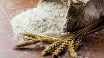 los increibles beneficios para la salud si se deja de consumir harinas por un mes los increibles beneficios para la salud si se deja de consumir harinas por un mes