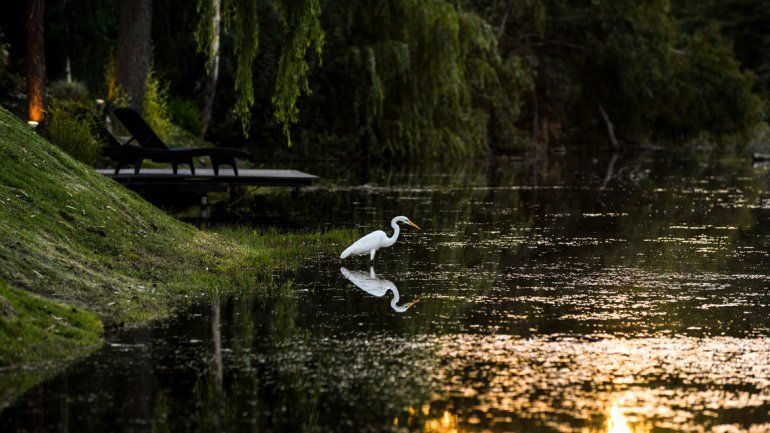 Plottier construirá un jardín botánico en la costa del río Limay