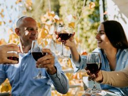 Lo afirma un estudio de la Universidad de Buffalo y la Universidad de Medicina de Xuzhou. Foto: Pexels Lo afirma un estudio de la Universidad de Buffalo y la Universidad de Medicina de Xuzhou. Foto: Pexels