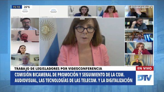 Miriam Lewin expone ante Diputados sobre el observatorio NODIO