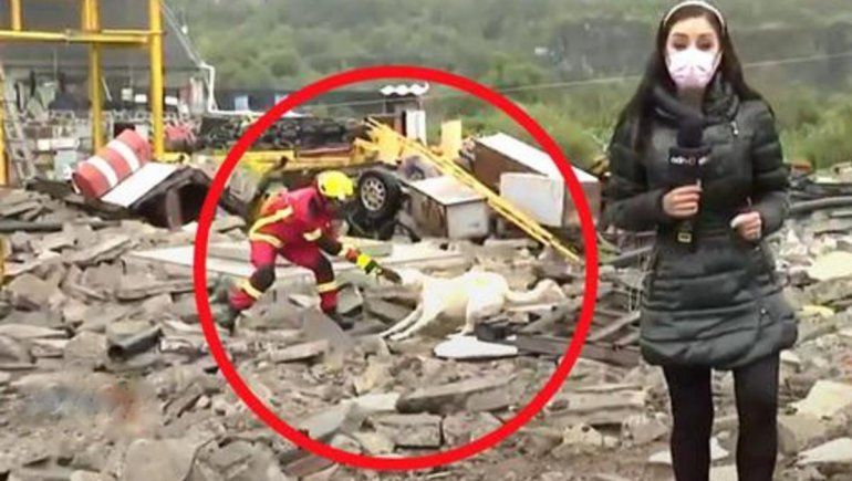 Viral: bombero y perro pelean durante transmisión de noticiero.