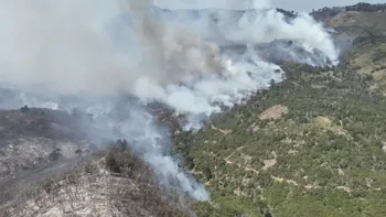 El incendio en el Parque Nacional Lanín se complicó por los vientos El incendio en el Parque Nacional Lanín se complicó por los vientos