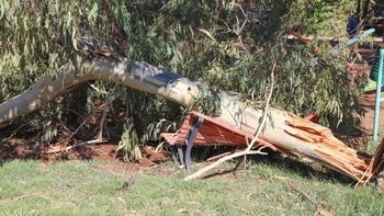 Los daños fueron cuantiosos en varios barrios de Cipolletti / Foto Anahí Cárdena Los daños fueron cuantiosos en varios barrios de Cipolletti / Foto Anahí Cárdena
