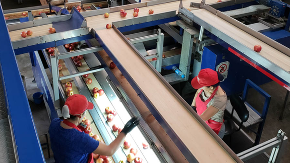 Sectores tradicionales de la industria quedaron reducidos a una mínima expresión.