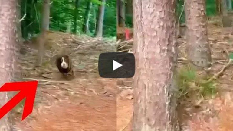 Este par no deja de sumar reproducciones en YouTube