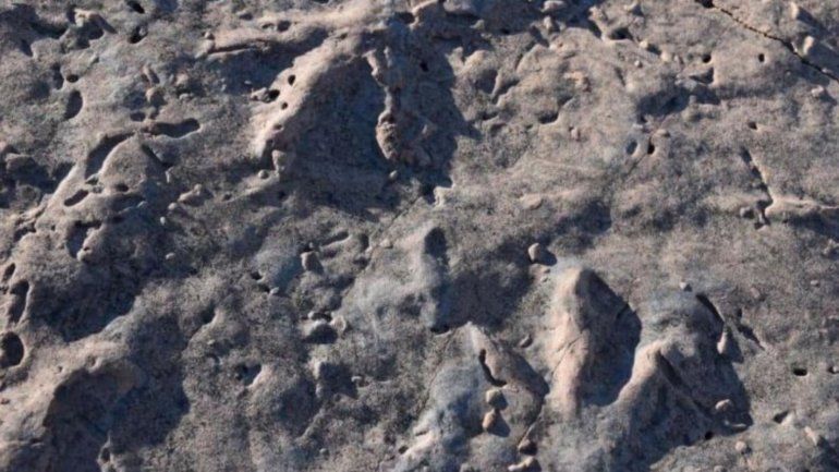 Hallaron nuevas huellas de dinosaurios en Picún Leufú