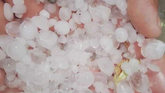 Hubo granizo y fuerte viento en el valle medio rionegrino