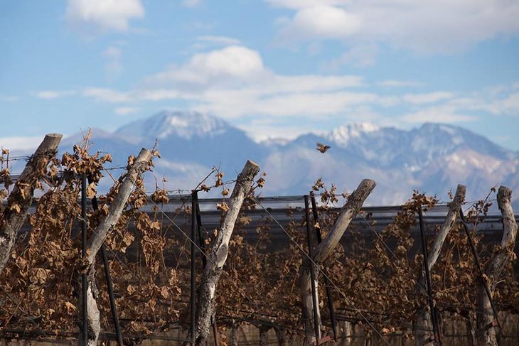 La baja en el consumo interno viene de décadas de deteriorio. La baja en el consumo interno viene de décadas de deteriorio.