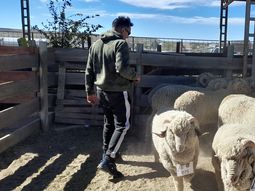 Ovidio produce en Paso Aguerre. Foto: gentileza Ovidio produce en Paso Aguerre. Foto: gentileza