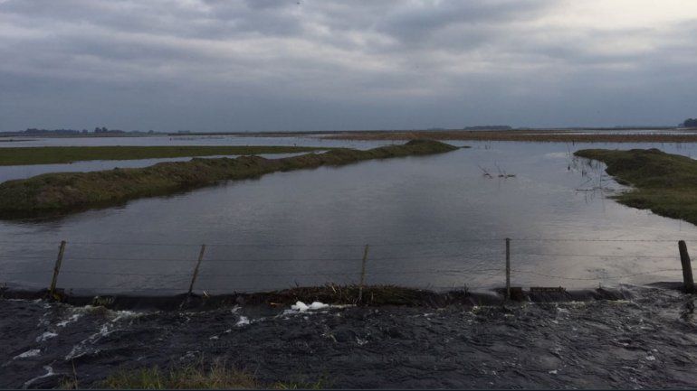 Las inundaciones provocarán millonarias pérdidas en el agro