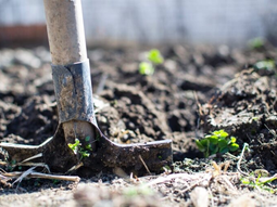 Capacitaciones gratutitas en el Valle rionegrino. Capacitaciones gratutitas en el Valle rionegrino.