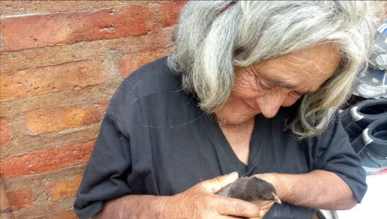 "Vivió una vida bastante compleja, con algunos problemas familiares", contó alguna vez una vecina de la cuadra que se conoce con Senobia desde la infancia. "Vivió una vida bastante compleja, con algunos problemas familiares", contó alguna vez una vecina de la cuadra que se conoce con Senobia desde la infancia. 