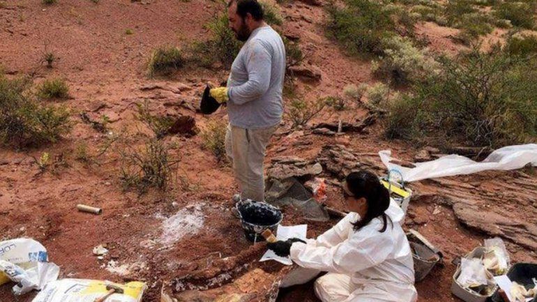 Presentan un nuevo dino