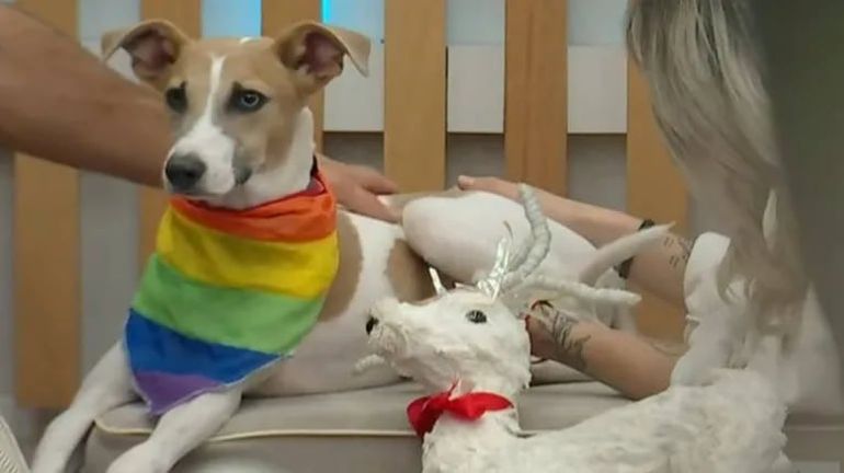 Arturo enterneció a los participantes y espectadores de Gran Hermano. Arturo enterneció a los participantes y espectadores de Gran Hermano.