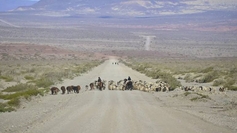 Norte de la provincia de Neuquén. Norte de la provincia de Neuquén.