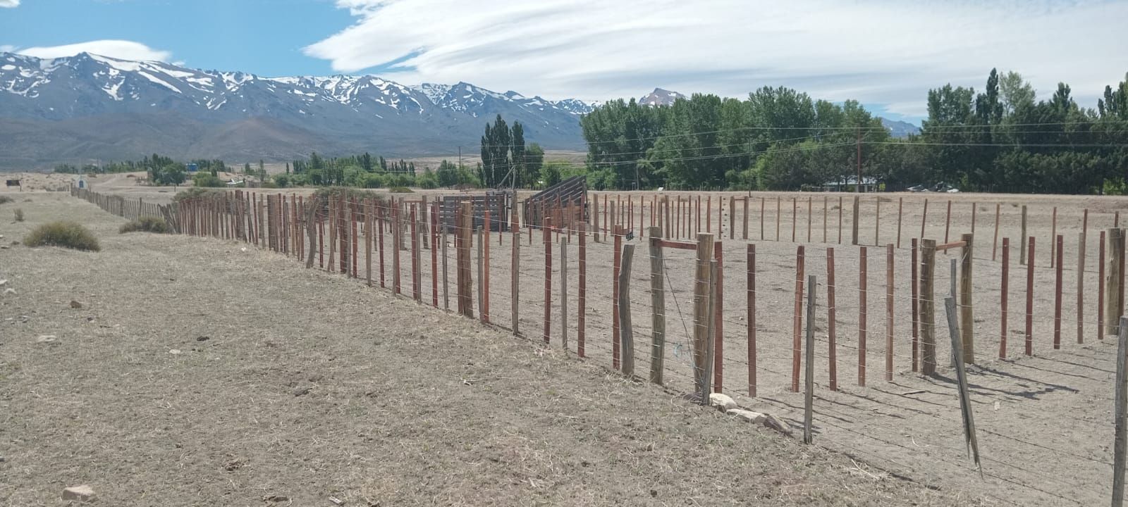 Trashumancia: cómo respaldan una tradición milenaria con infraestructura moderna