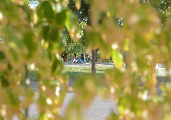 Las primeras señales de la previa al otoño en Neuquén. (Foto archivo) Las primeras señales de la previa al otoño en Neuquén. (Foto archivo)