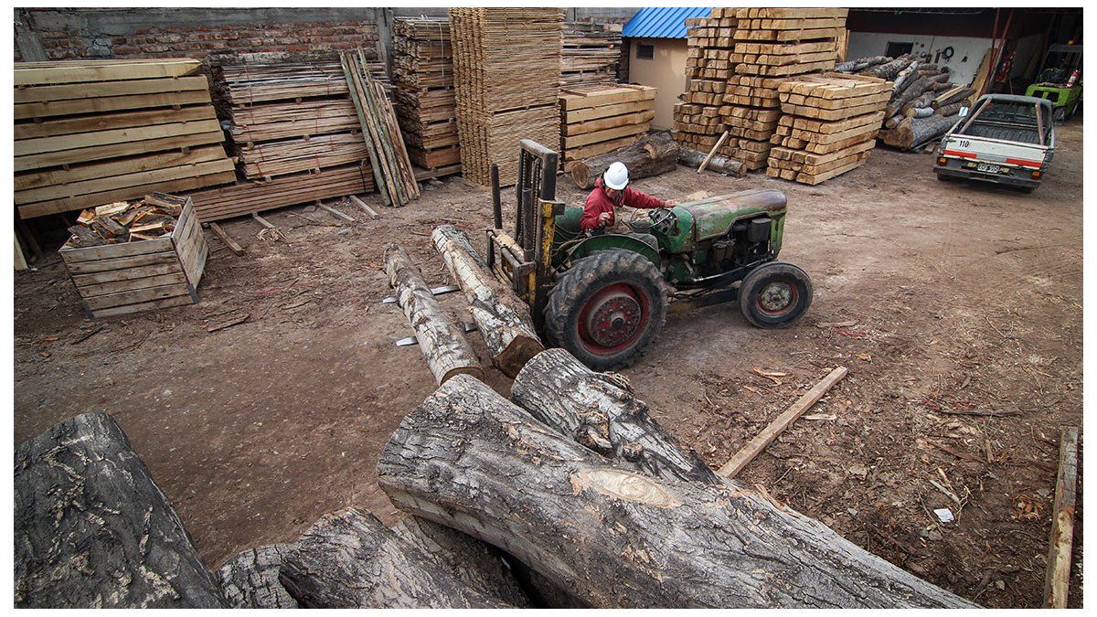 Los madereros festejan su día y sueñan con un gran crecimiento